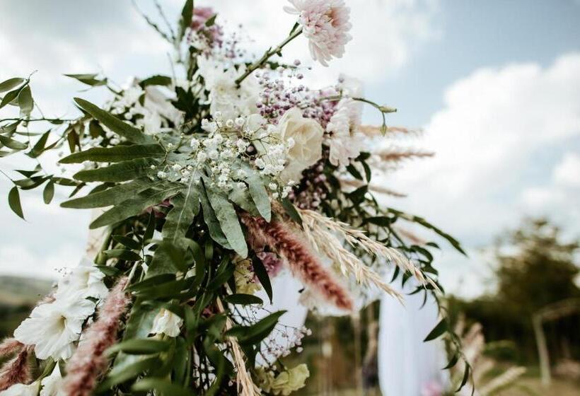 Pensiunea La Popa’s