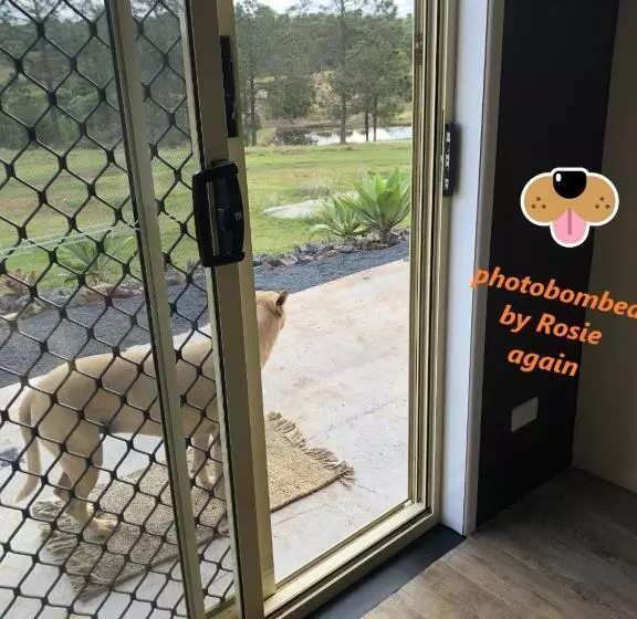 Majatalo Lotus Views