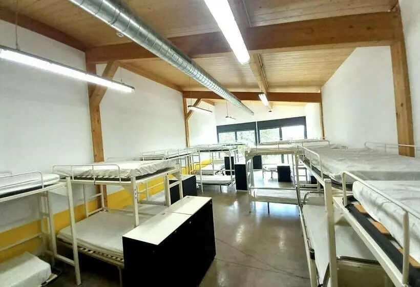 Alberg L Auro