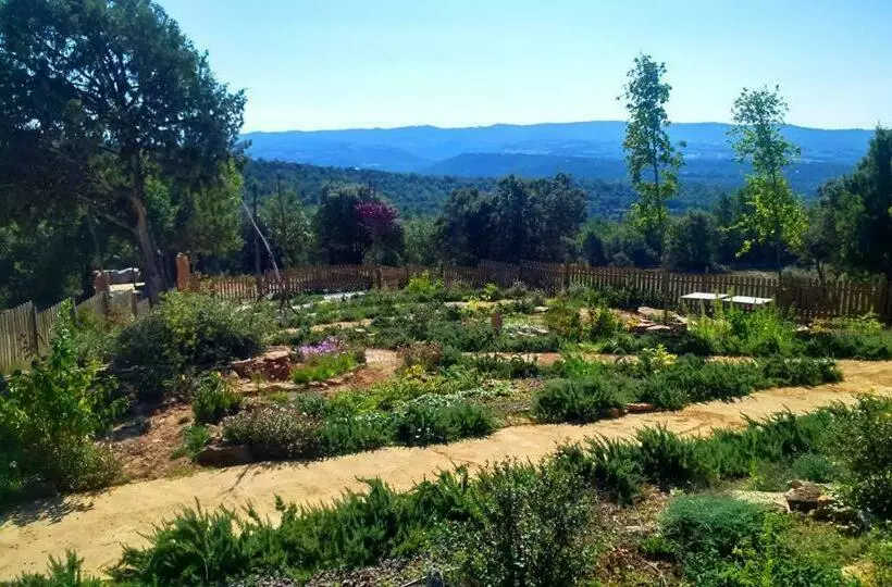 Alberg L Auro