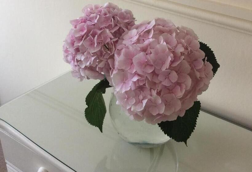 تختخواب و صبحانه Rosebank Guest House