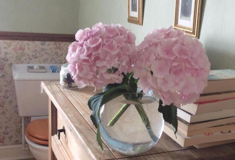 تختخواب و صبحانه Rosebank Guest House