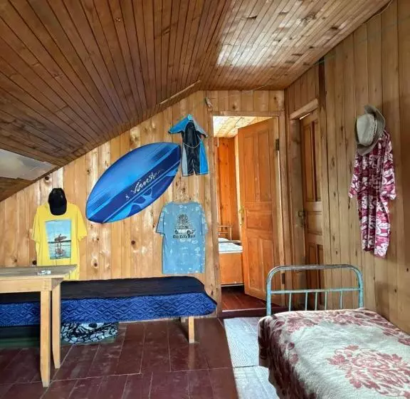 هتل Guest House Bee