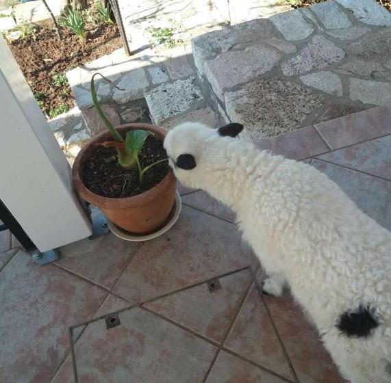 ホテル Paradise View