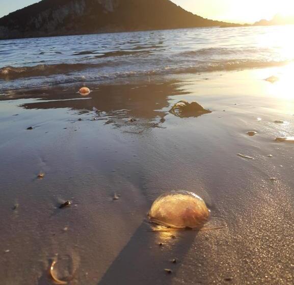 پانسیون B&b Marina