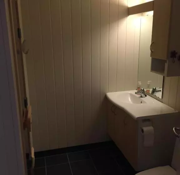ホテル Lemonsjø Fjellstue Og Hyttegrend
