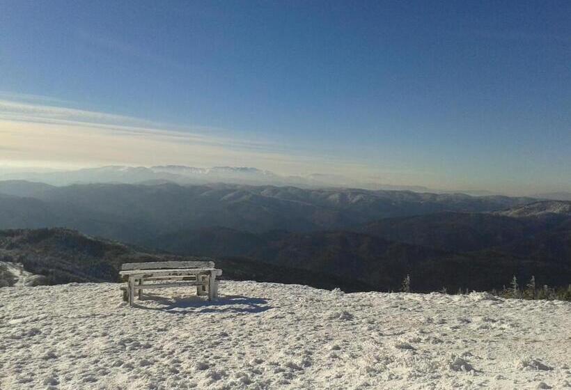 Пансион La Caramidari