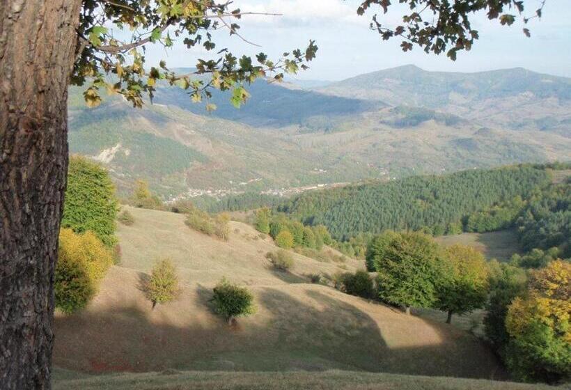 Пансион La Caramidari