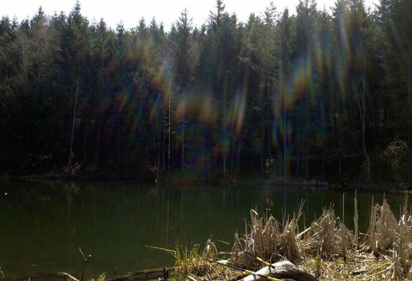 Пансион La Caramidari