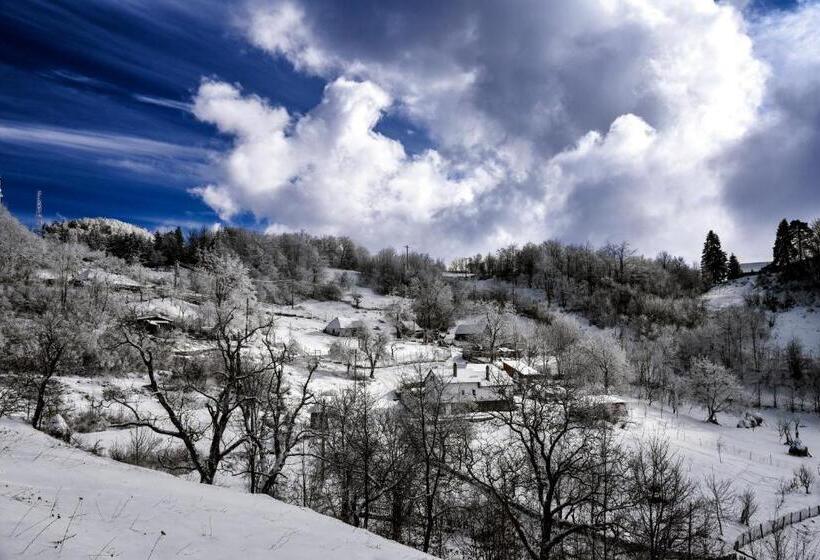 بنسيون Vila Anastasia