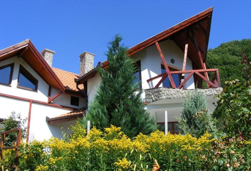 بنسيون Vila Anastasia