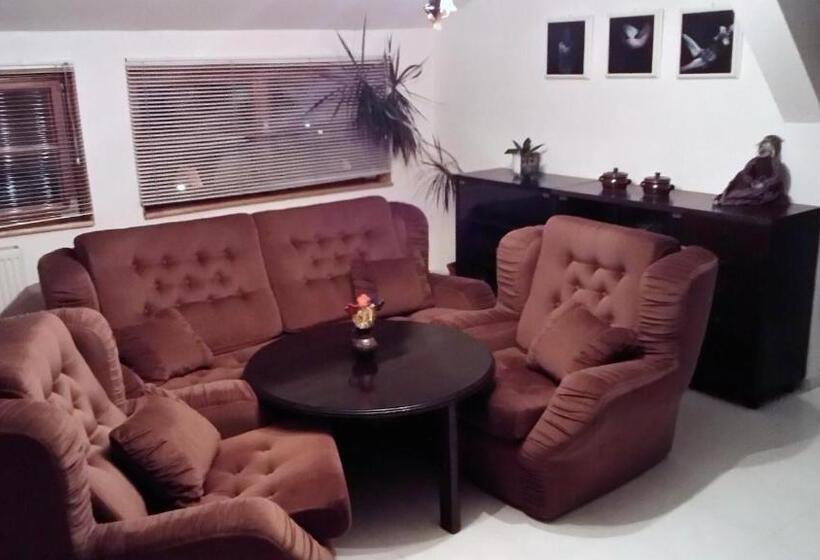 تختخواب و صبحانه Penzion Svojše