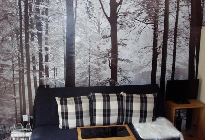 تختخواب و صبحانه Penzion Svojše