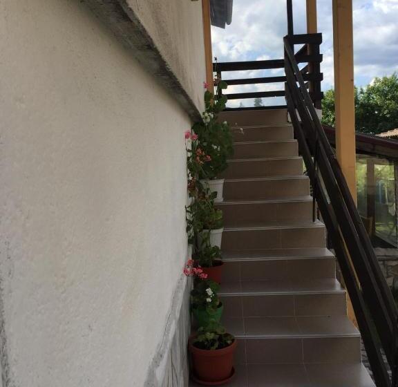 Pensionat Guest House Shotarovi