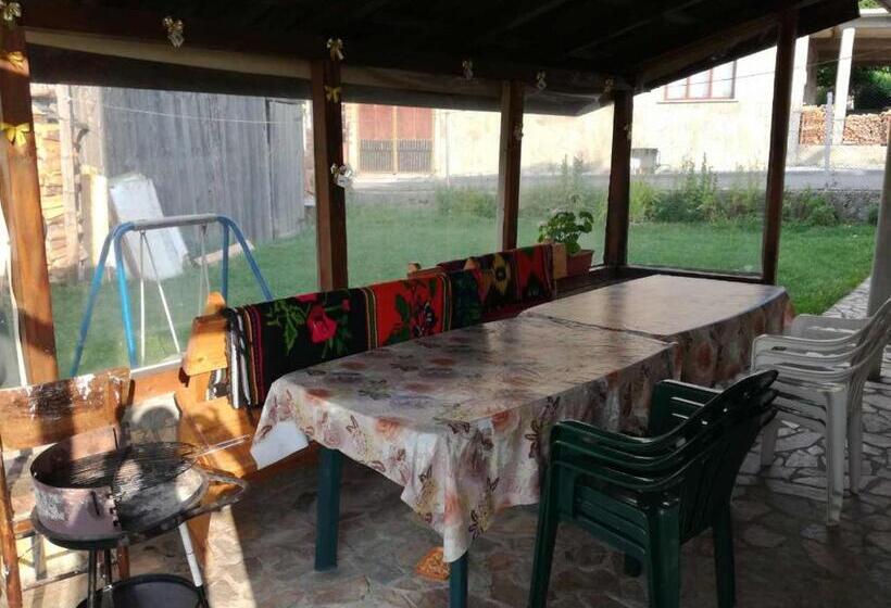 Pensionat Guest House Shotarovi