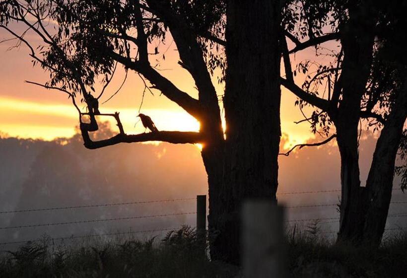 Bed and Breakfast Tallawarra Homestead