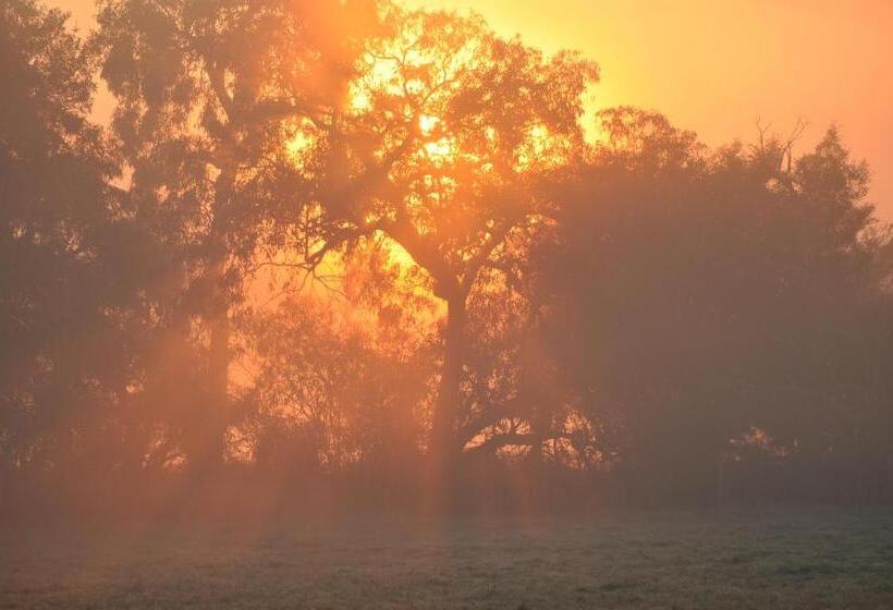 Bed and Breakfast Tallawarra Homestead