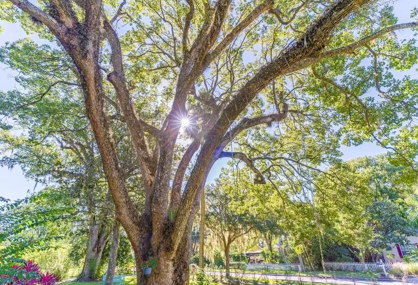 ベッドアンドブレックファースト The Estate At Mount Dora