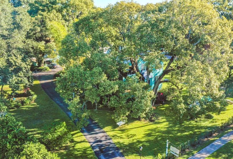 مبيت وإفطار The Estate At Mount Dora