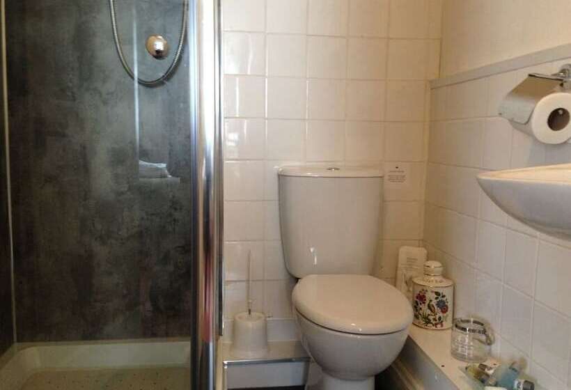 فندق فئة نجمة واحدة King S Arms