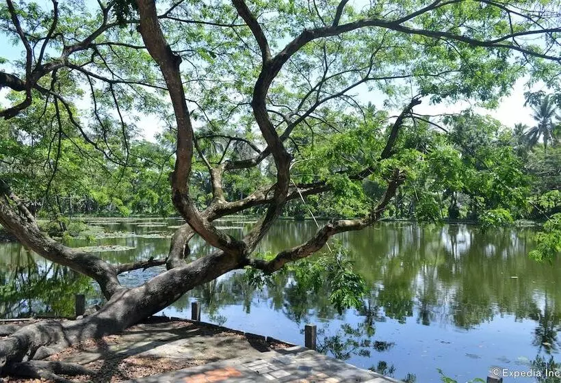 هتل Amandari Cove