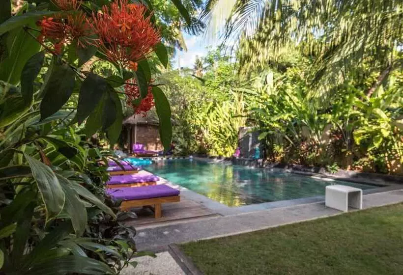 ホテル Arjuna Homestay