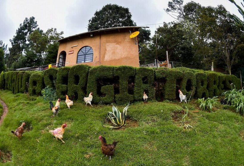 فندق Cabañas Y Suites Sergia Torres