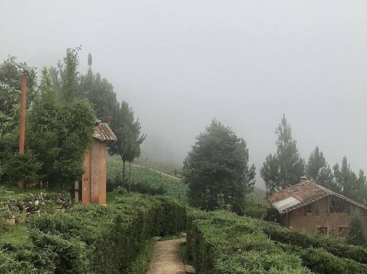 فندق Cabañas Y Suites Sergia Torres