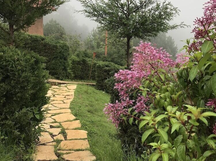 فندق Cabañas Y Suites Sergia Torres