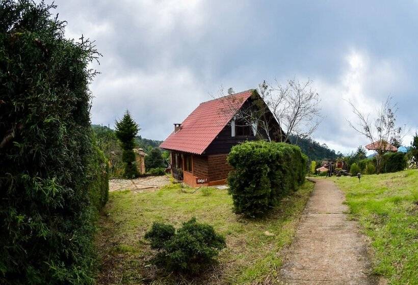 فندق Cabañas Y Suites Sergia Torres