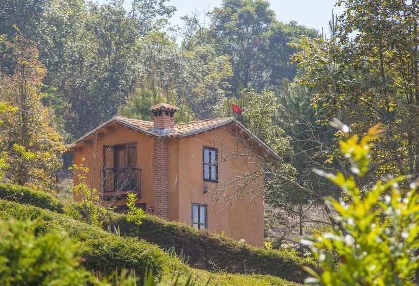 فندق Cabañas Y Suites Sergia Torres