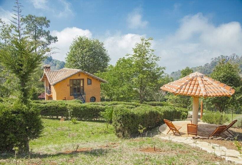 فندق Cabañas Y Suites Sergia Torres