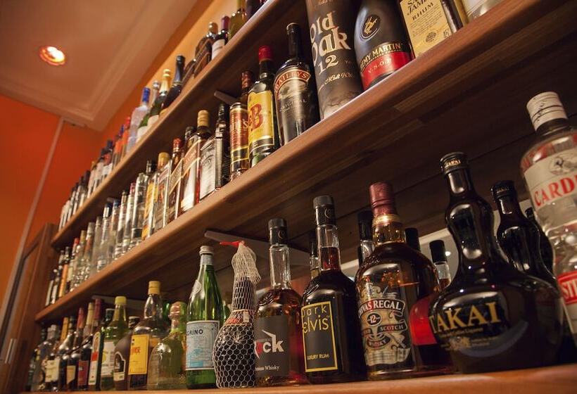 בית מלון כפרי Kingstel