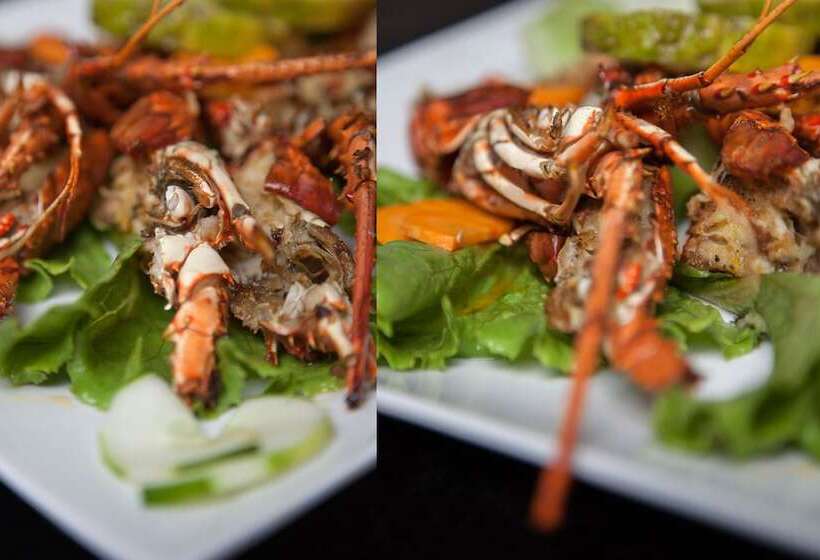 בית מלון כפרי Kingstel