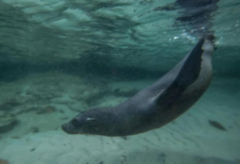 فندق Paraiso De Isabela