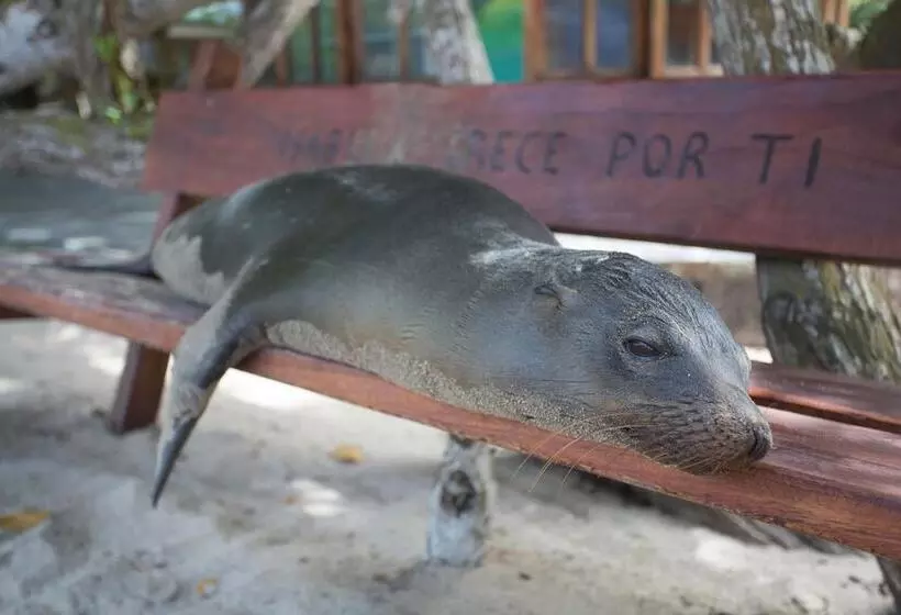 هتل Paraiso De Isabela