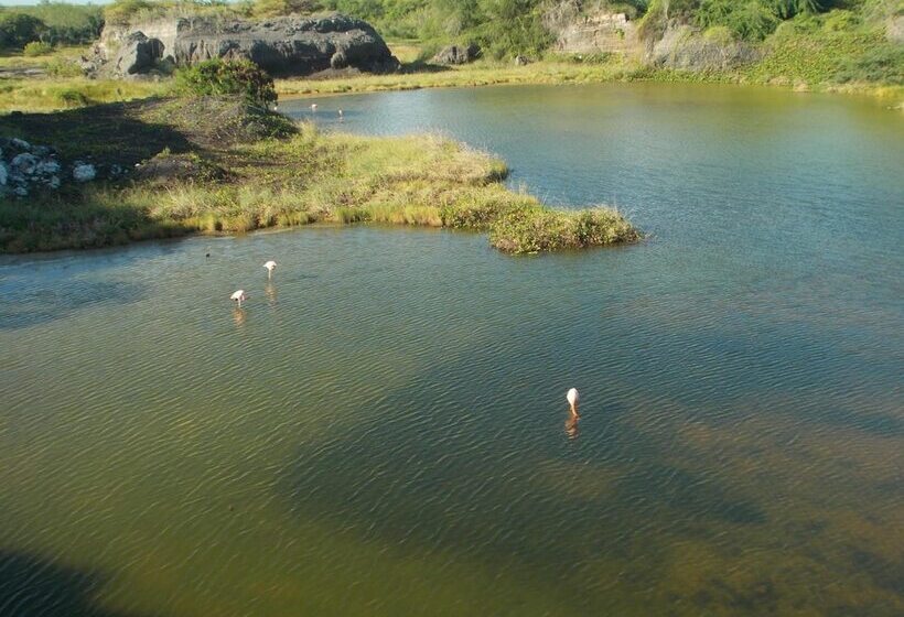 فندق Paraiso De Isabela