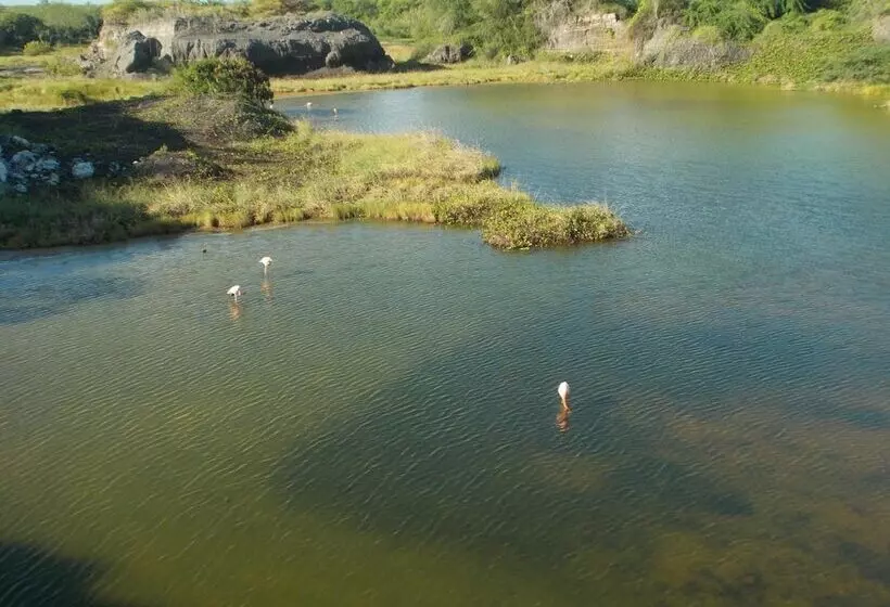 هتل Paraiso De Isabela