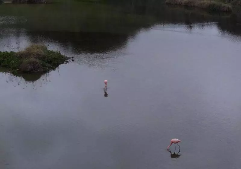 هتل Paraiso De Isabela
