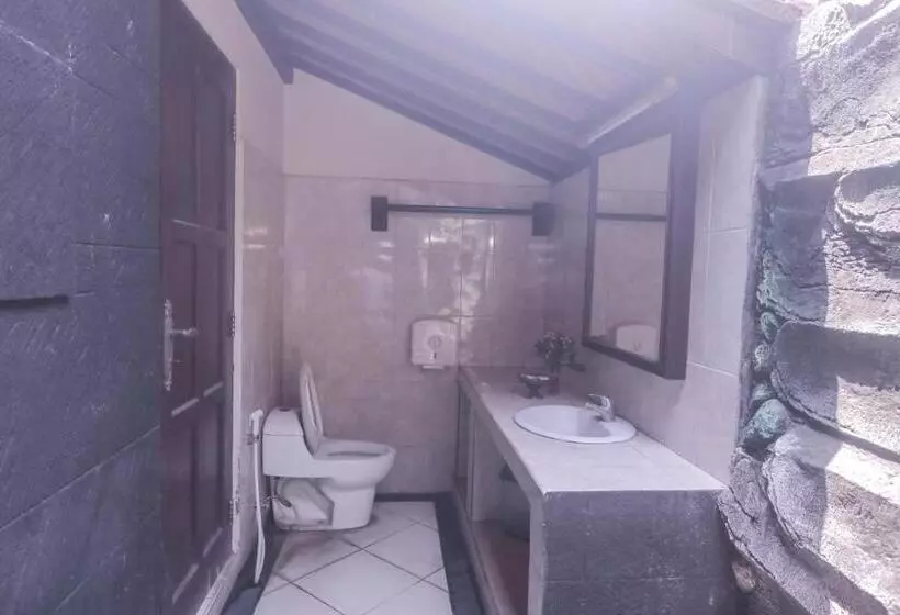 ホテル Trijaya Guest House Pemuteran