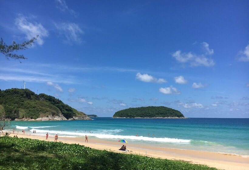 فندق Vivi Bungalows Resort