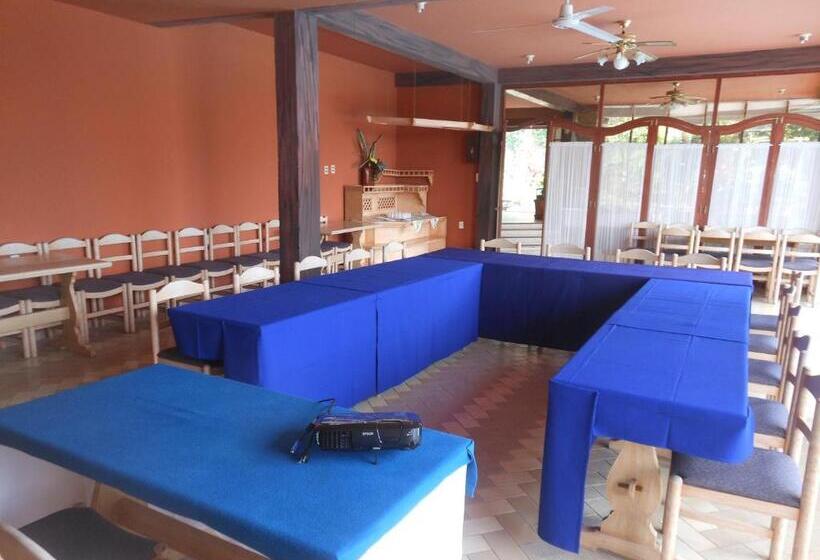 هتل Viejo Molino Coroico