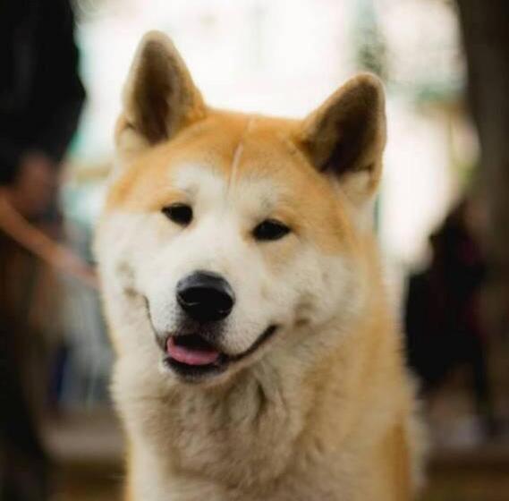 Bed and Breakfast Casa Do Juá