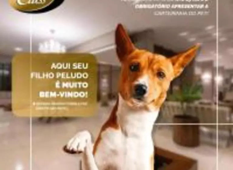 Class Hotel Rio Claro