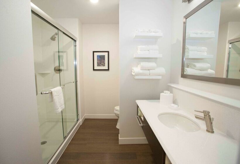 فندق Hampton Inn & Suites Downtown St. Paul