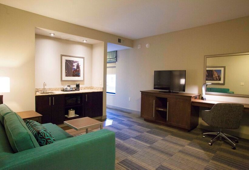 فندق Hampton Inn & Suites Downtown St. Paul
