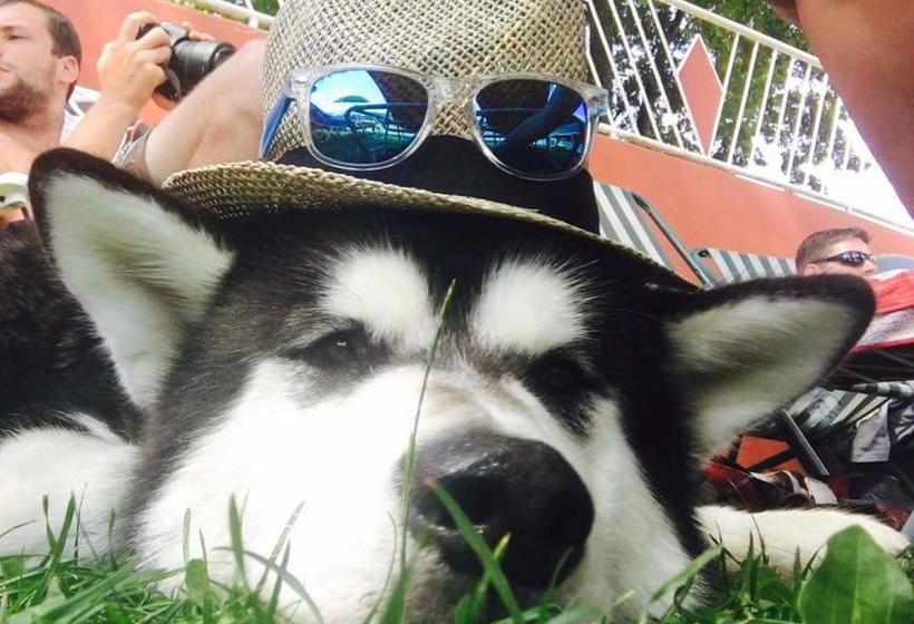 Strandhotel Orchidee