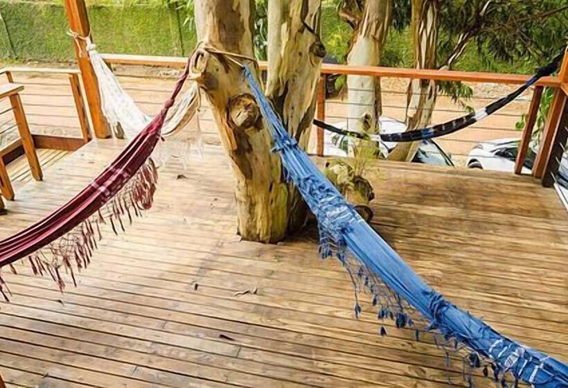 ベッドアンドブレックファースト Alma Brava