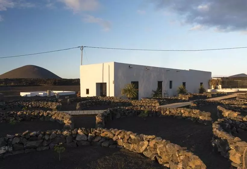 تختخواب و صبحانه Buenavista Lanzarote Country