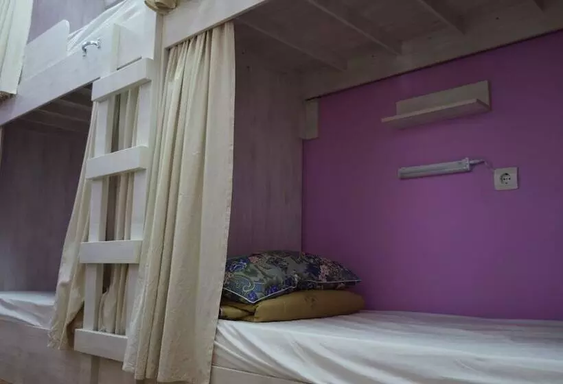 Gabzov   Hostel